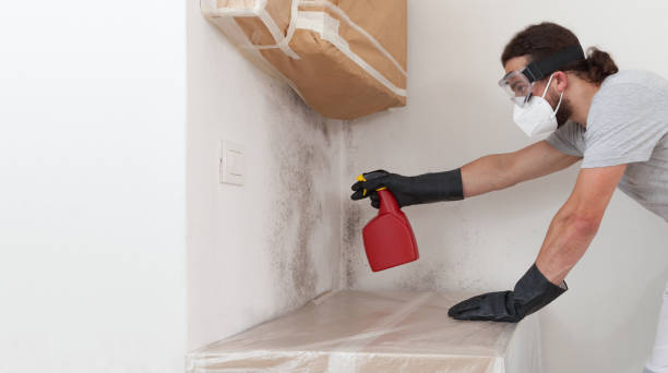 Professional Bathroom Mold Removal technician working in Livingston, NJ
