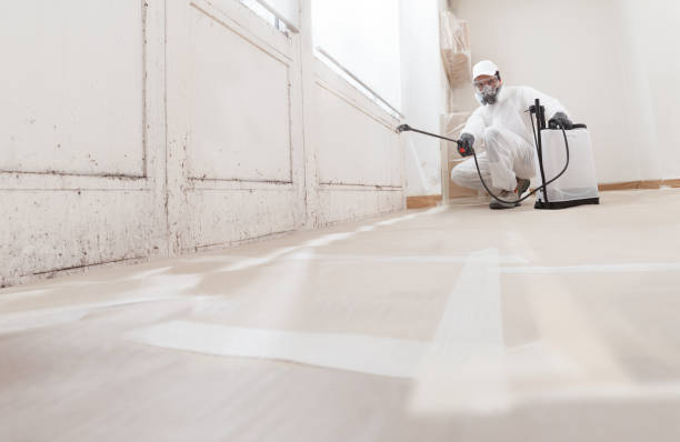 24/7 Emergency Bathroom Mold Removal experts in Livingston, NJ